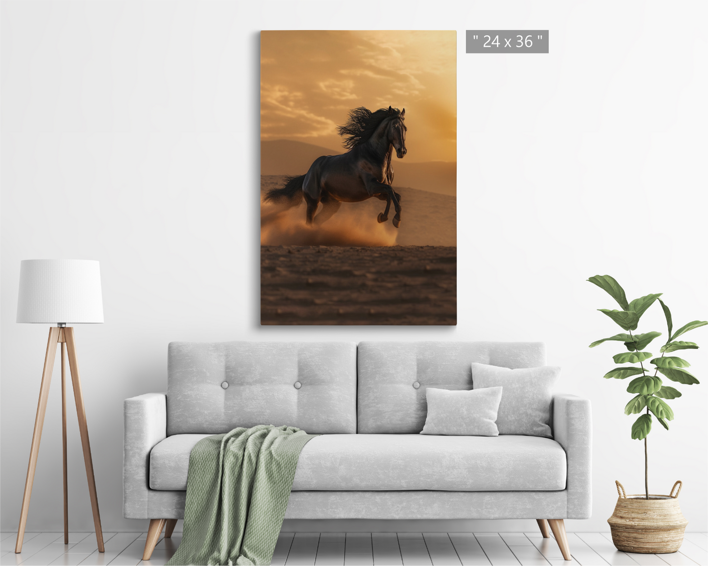 Black Arabian Horse in The Sahara Desert