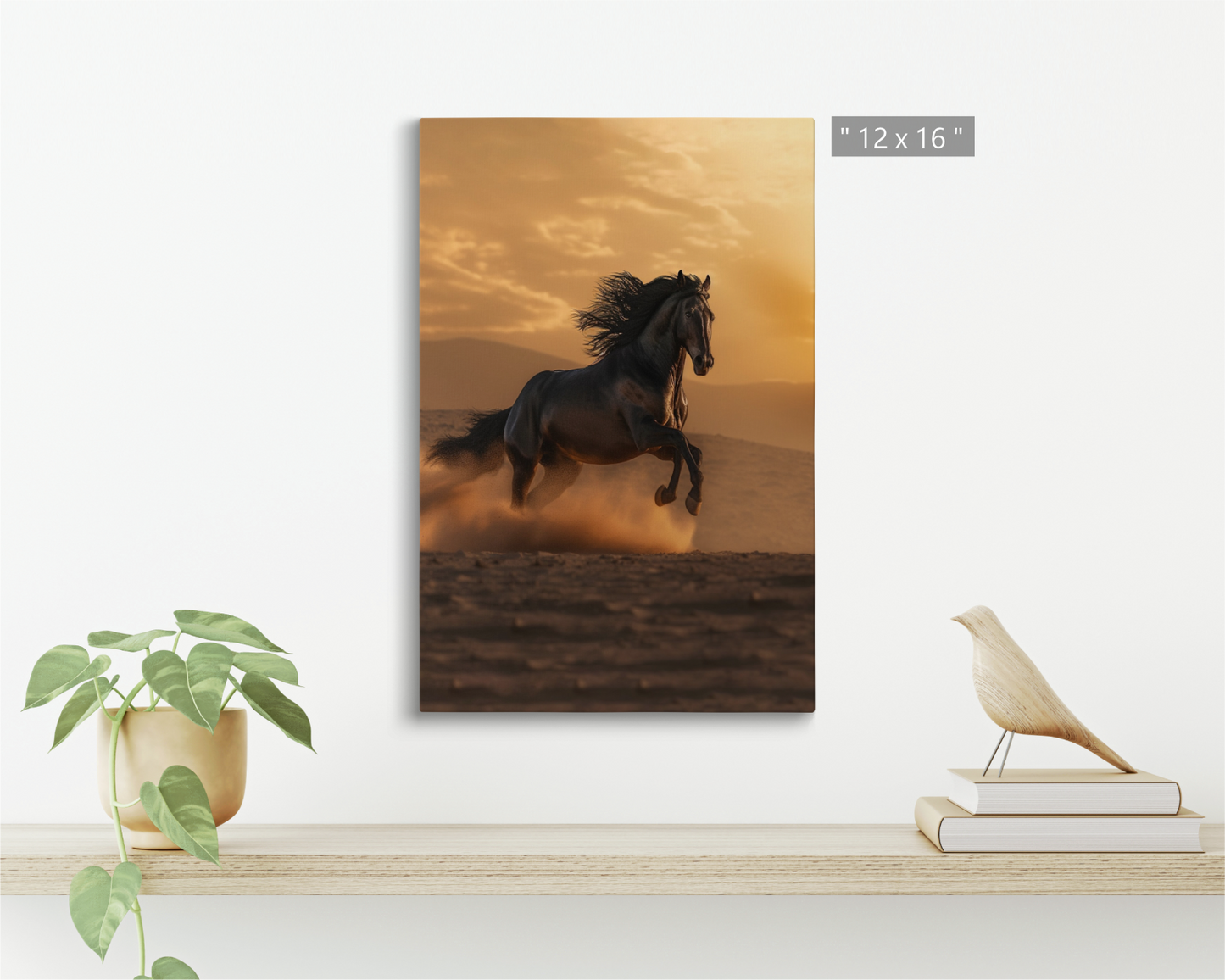 Black Arabian Horse in The Sahara Desert