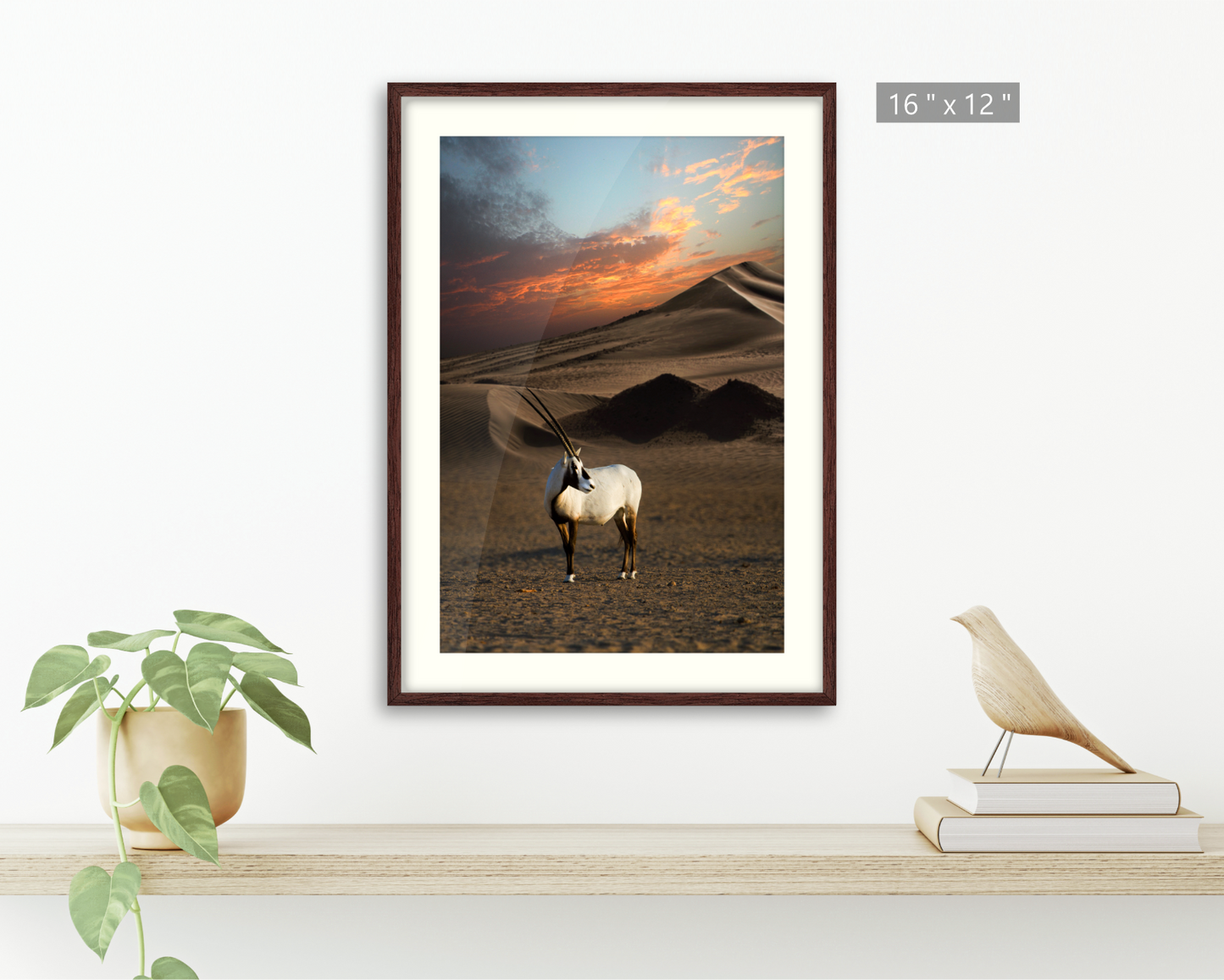 Arabian Oryx ( Al-Maha ) Standing in The Desert