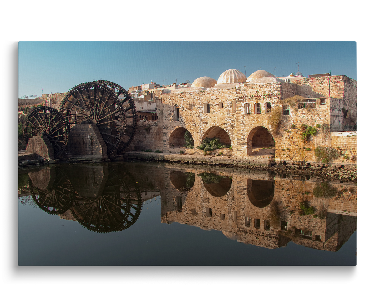 Syria, Reflect in Hama