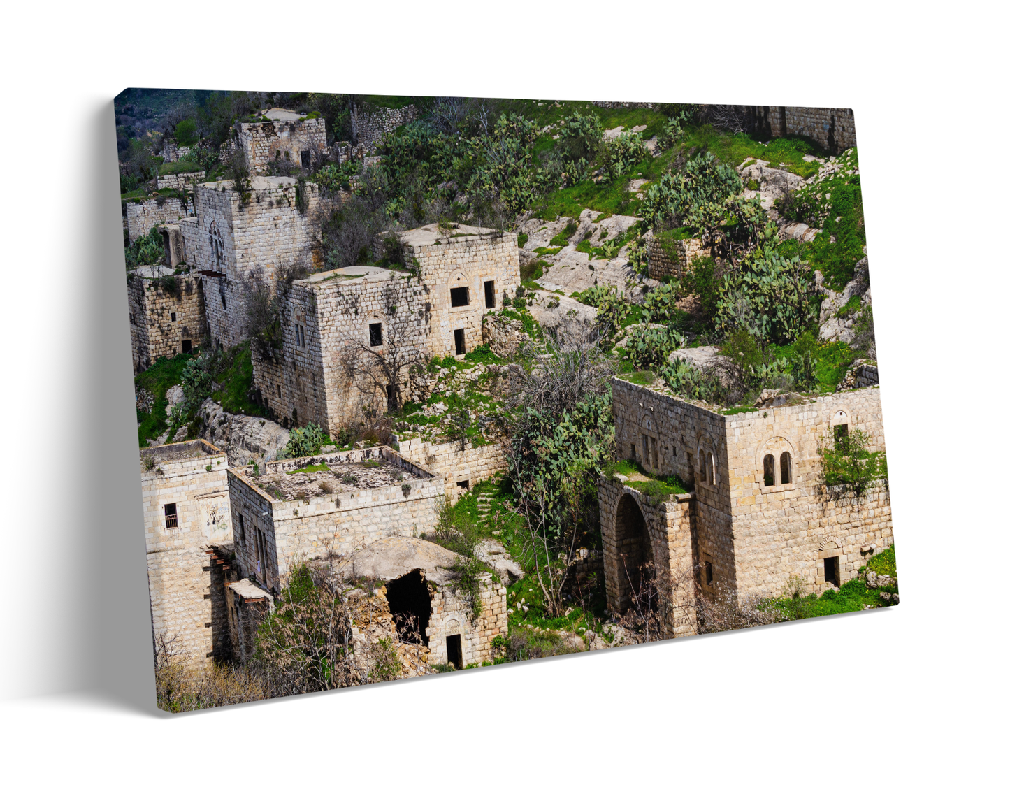 Palestine, Lifta Village in Jerusalem