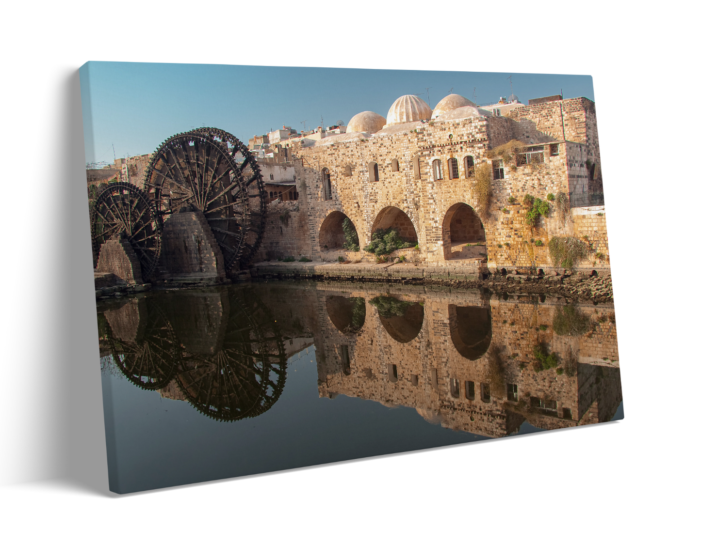 Syria, Reflect in Hama