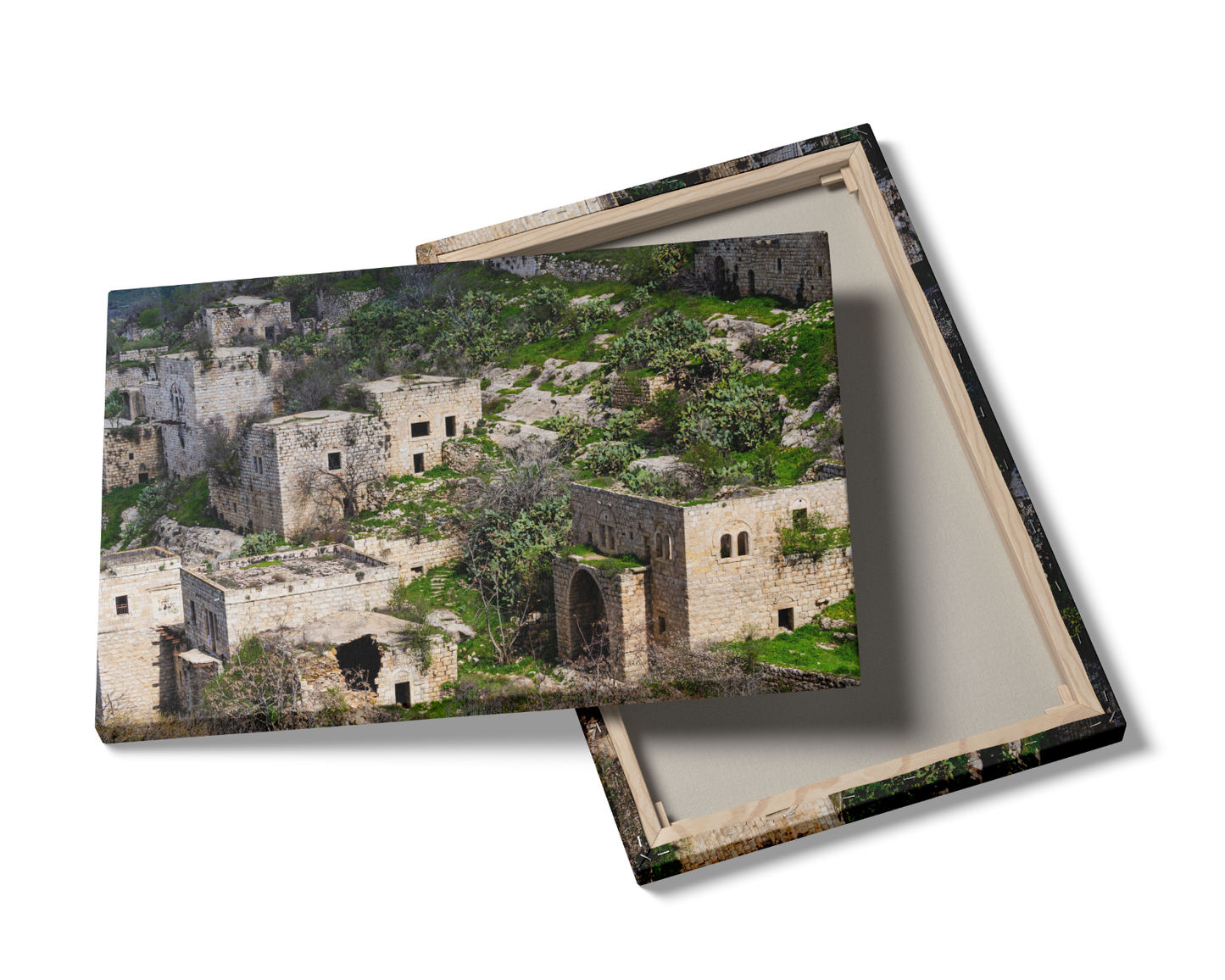 Palestine, Lifta Village in Jerusalem