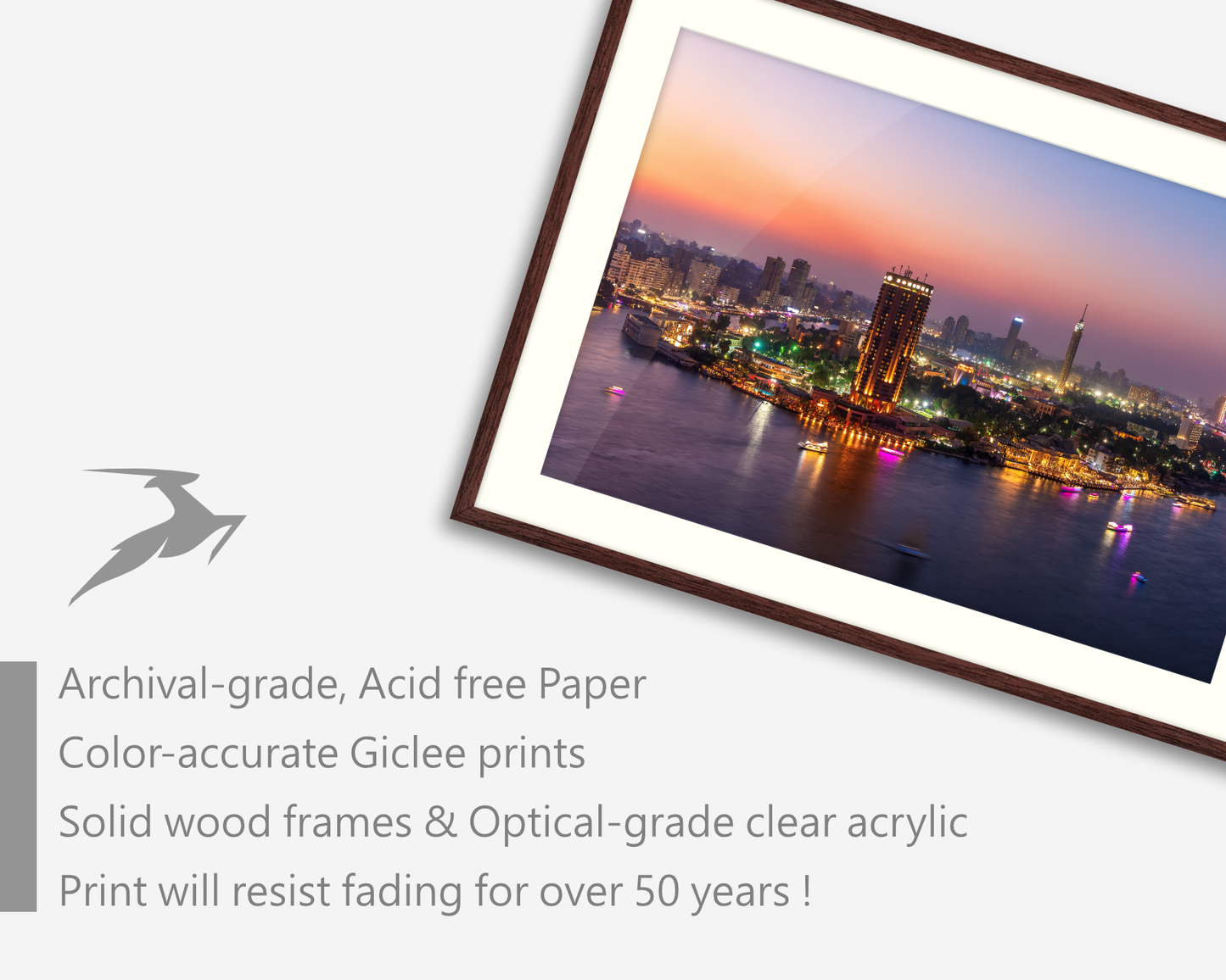 Egypt, Cairo Lights at Night