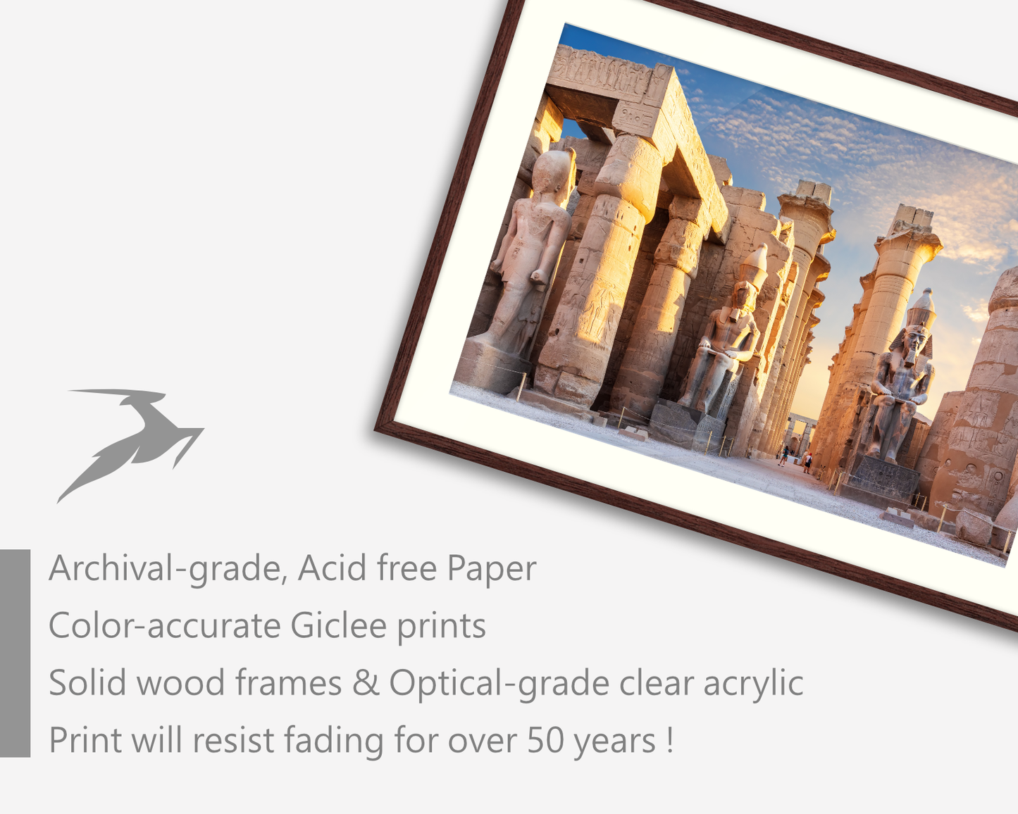 Egypt, Luxor Temple and the statues of Ramses II