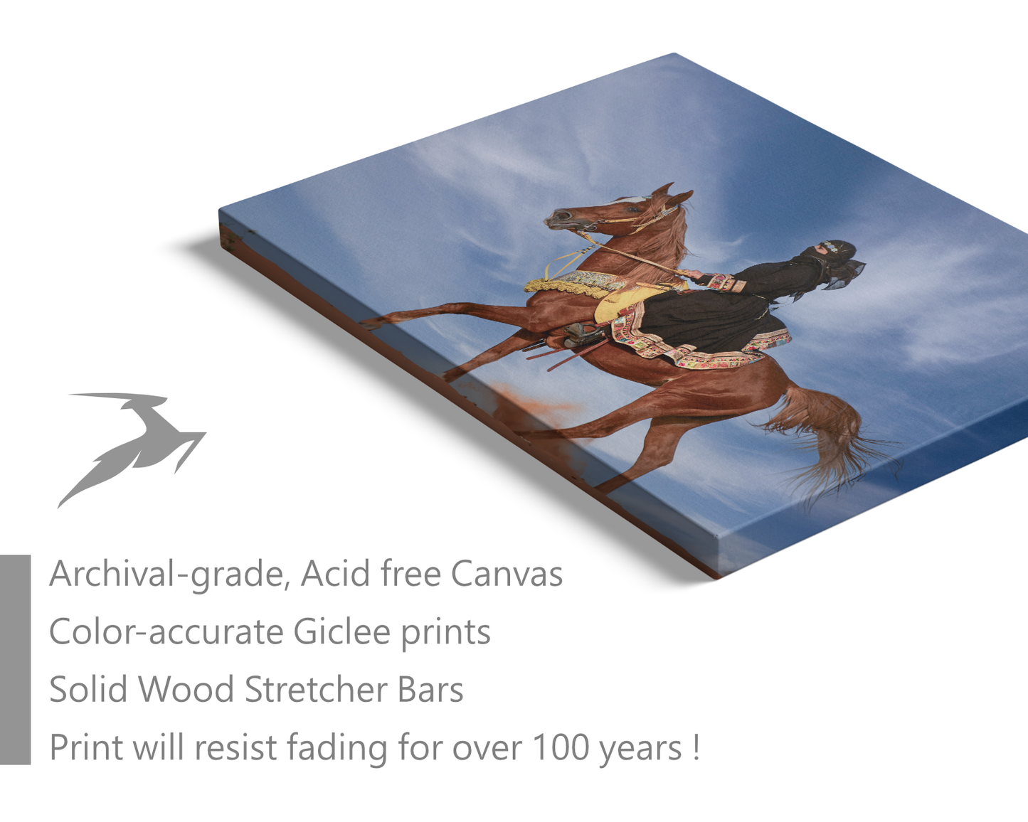 Arabian Woman Riding an Arabian Horse