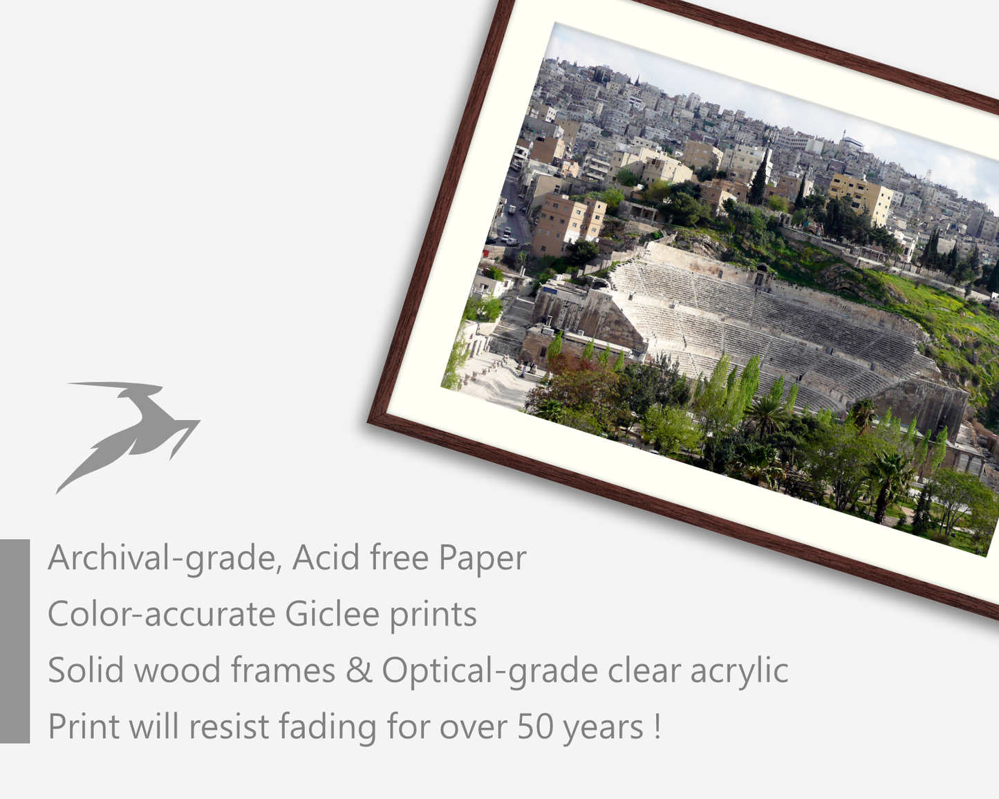 Jordan, The Roman Theatre from the Citadel