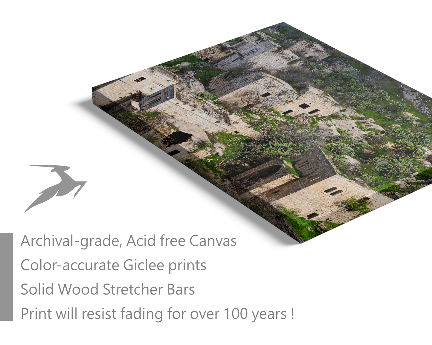 Palestine, Lifta Village in Jerusalem