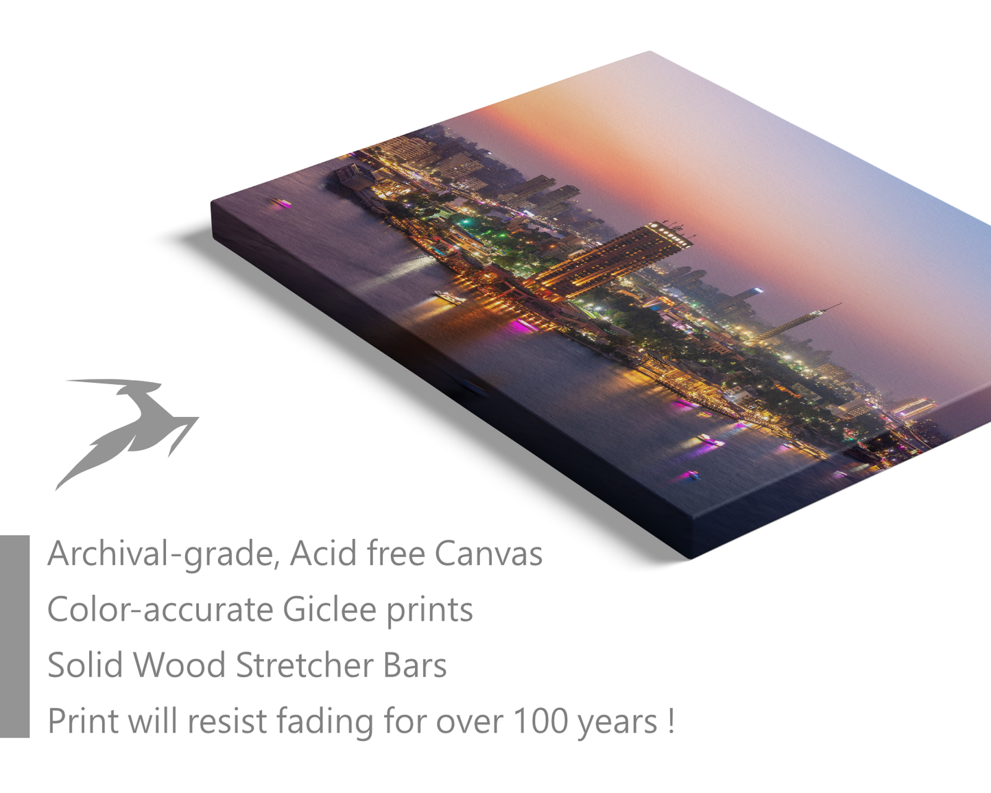 Egypt, Cairo Lights at Night