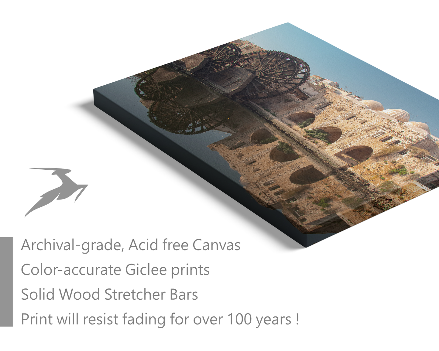 Syria, Reflect in Hama