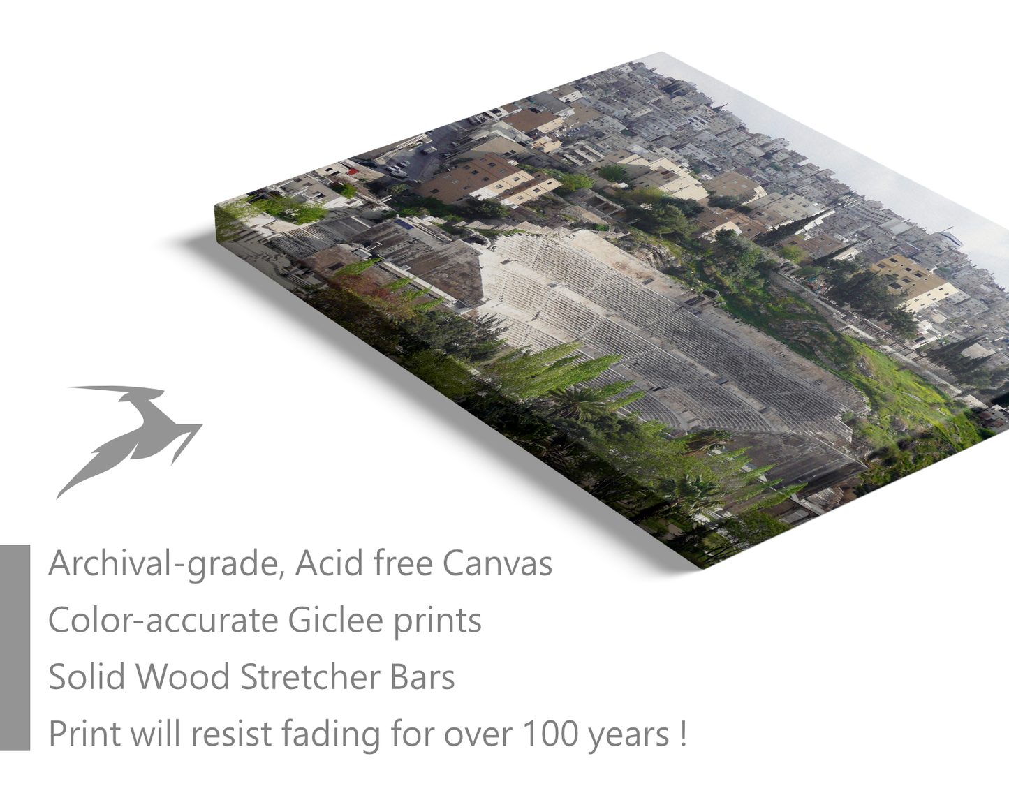 Jordan, The Roman Theatre from the Citadel