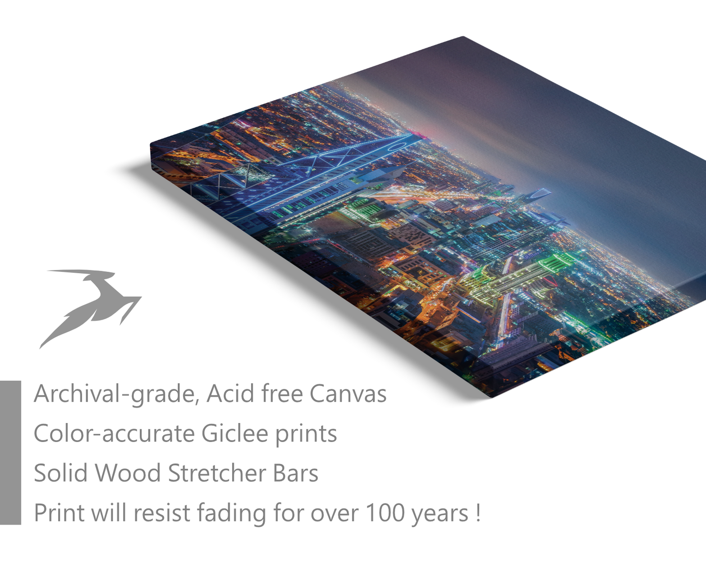 Saudi Arabia, Landscape at night in Riyadh