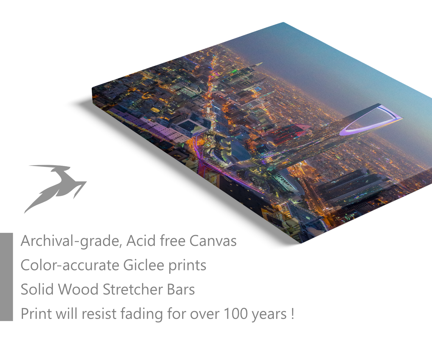 Saudi Arabia, Lights In Riyadh