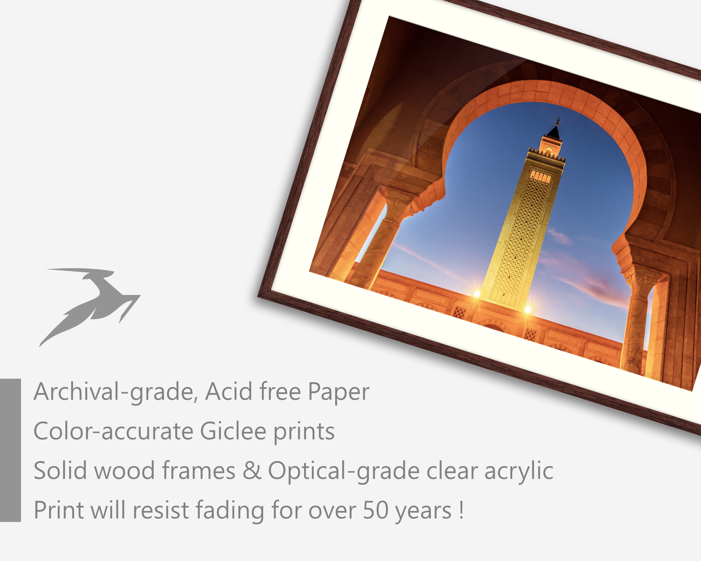 Tunisia, Carthage, Mosque Malik ibn Anas arch