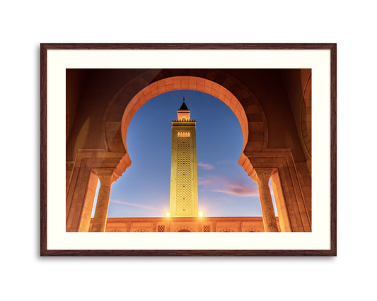 Tunisia, Carthage, Mosque Malik ibn Anas arch
