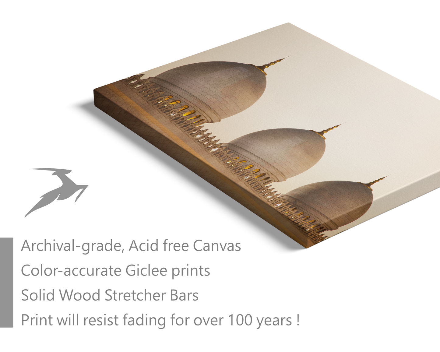 UAE, Abu Dhabi, Sheikh Zayed Grand Mosque 2